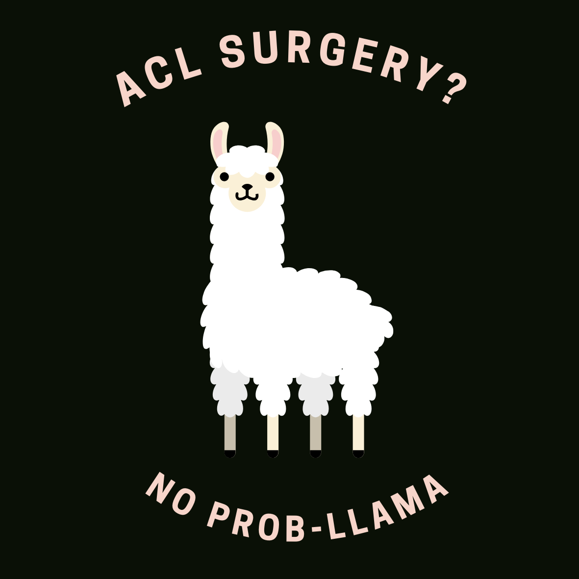 NEW Fun ACL Stickers